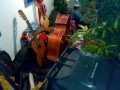 März 2009 051.jpg
